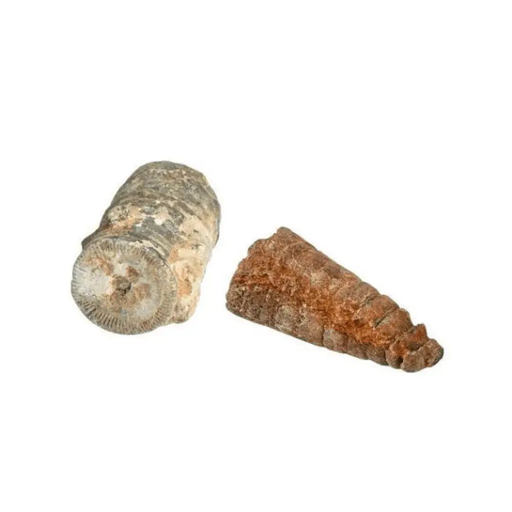Expeditie Natuur - Uithakset Klein | Fantastic Gifts Shop