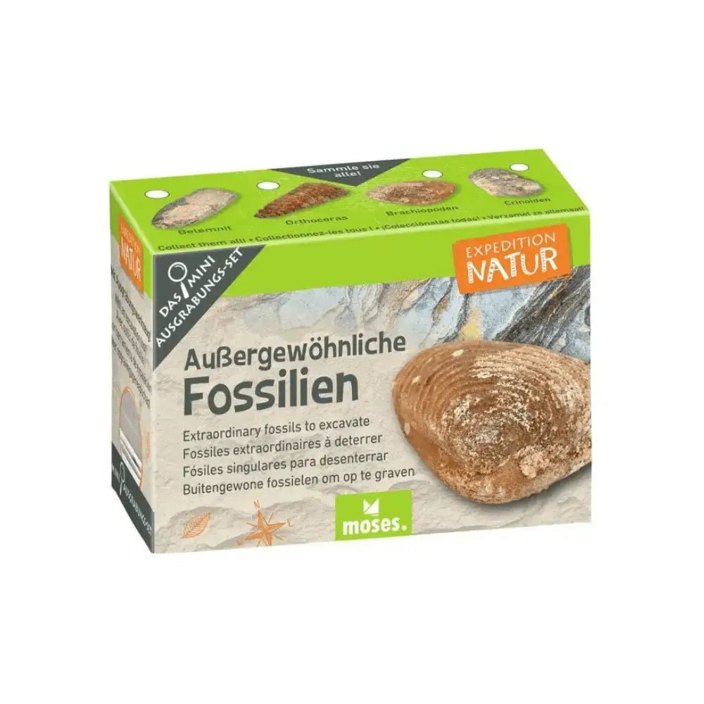 Expeditie Natuur - Uithakset Klein | Fantastic Gifts Shop