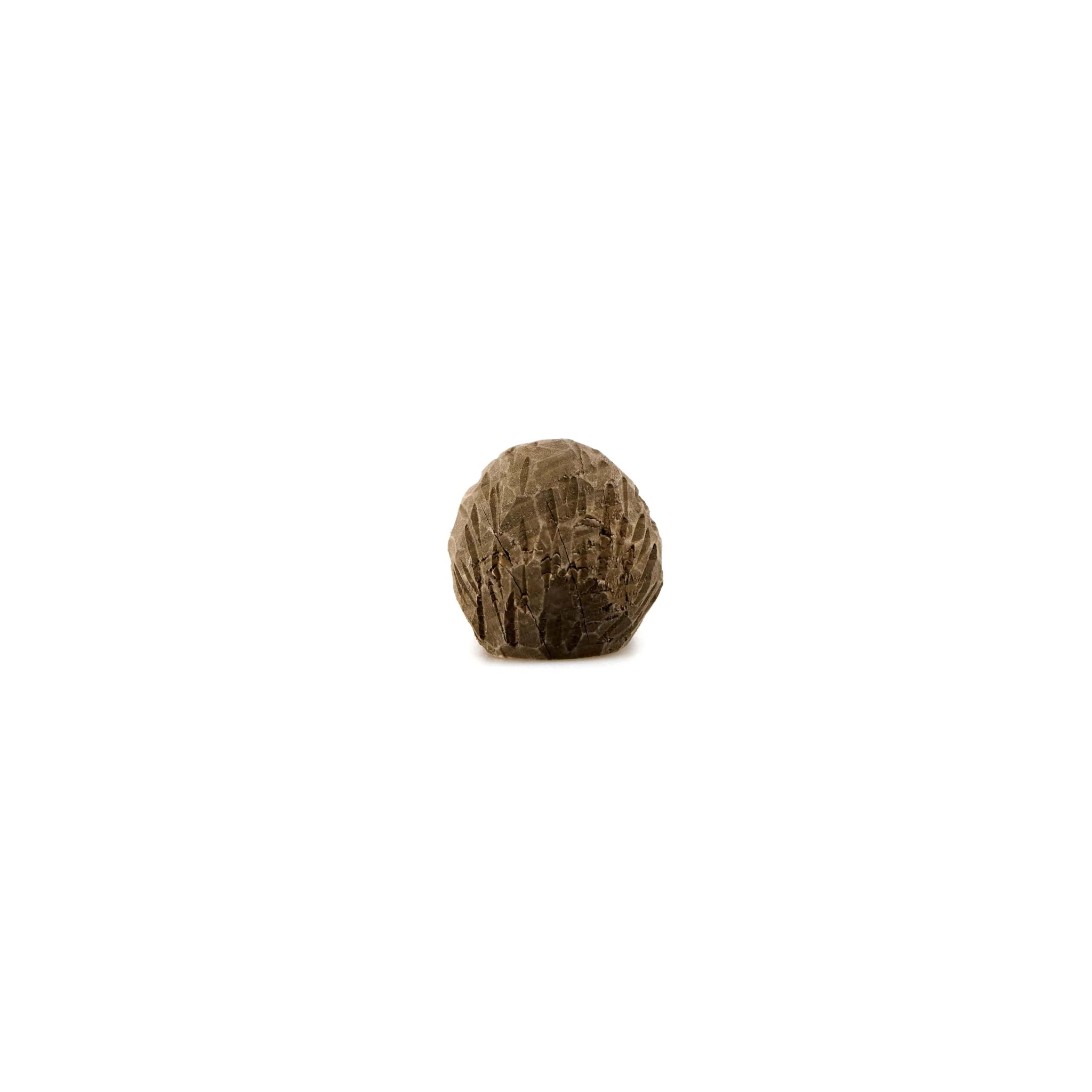 Wudimals - Egel | Fantastic Gifts Shop